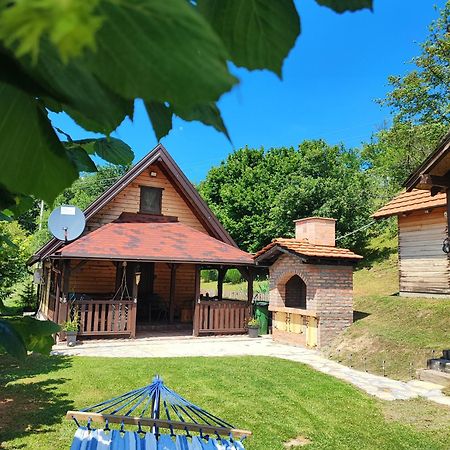 Vila Brvnara Na Bregu Bajina Basta Exteriér fotografie