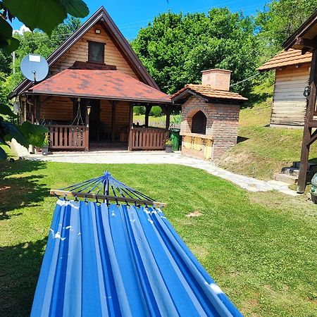 Vila Brvnara Na Bregu Bajina Basta Exteriér fotografie