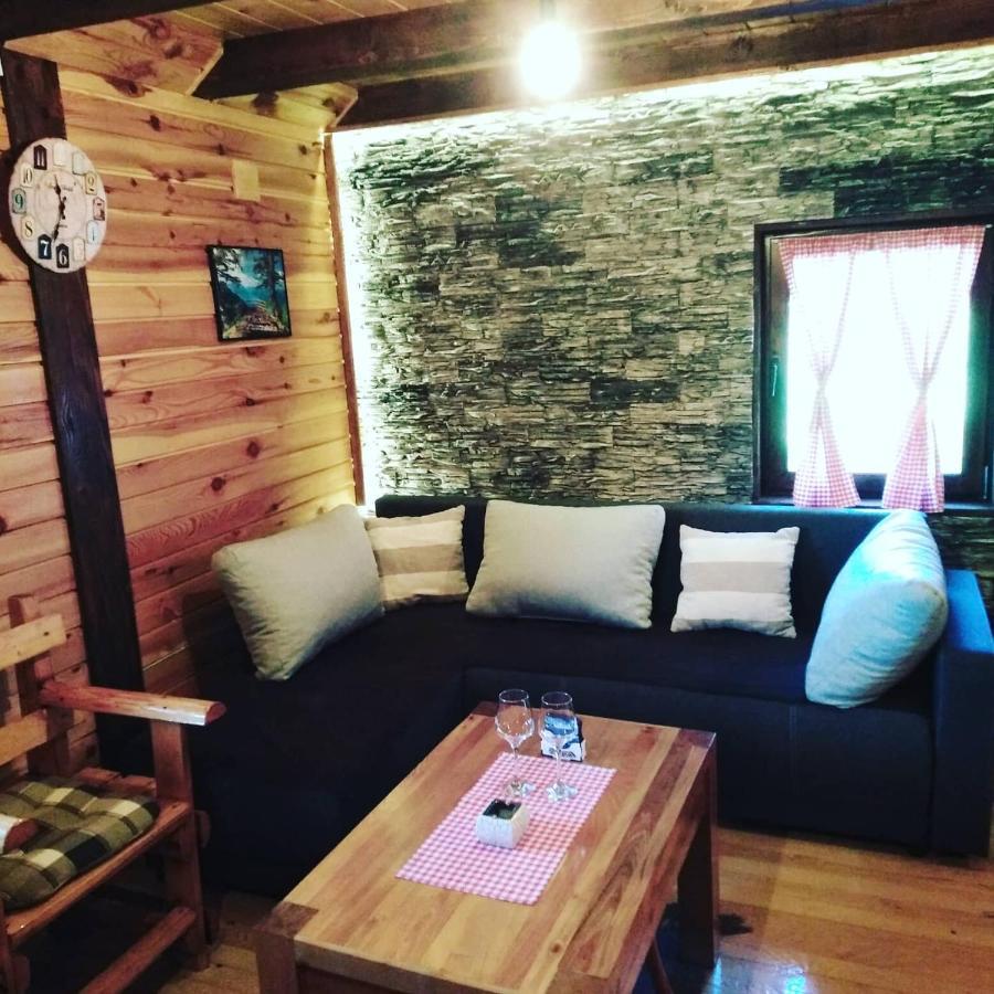 Vila Brvnara Na Bregu Bajina Basta Exteriér fotografie