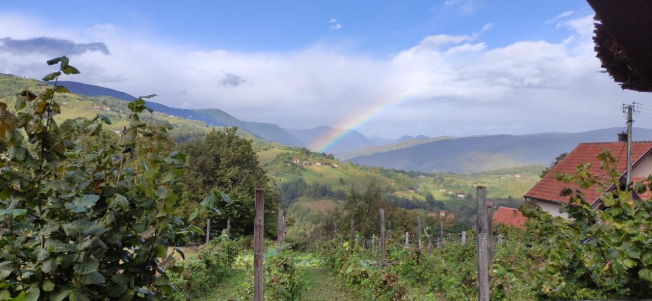 Vila Brvnara Na Bregu Bajina Basta Exteriér fotografie