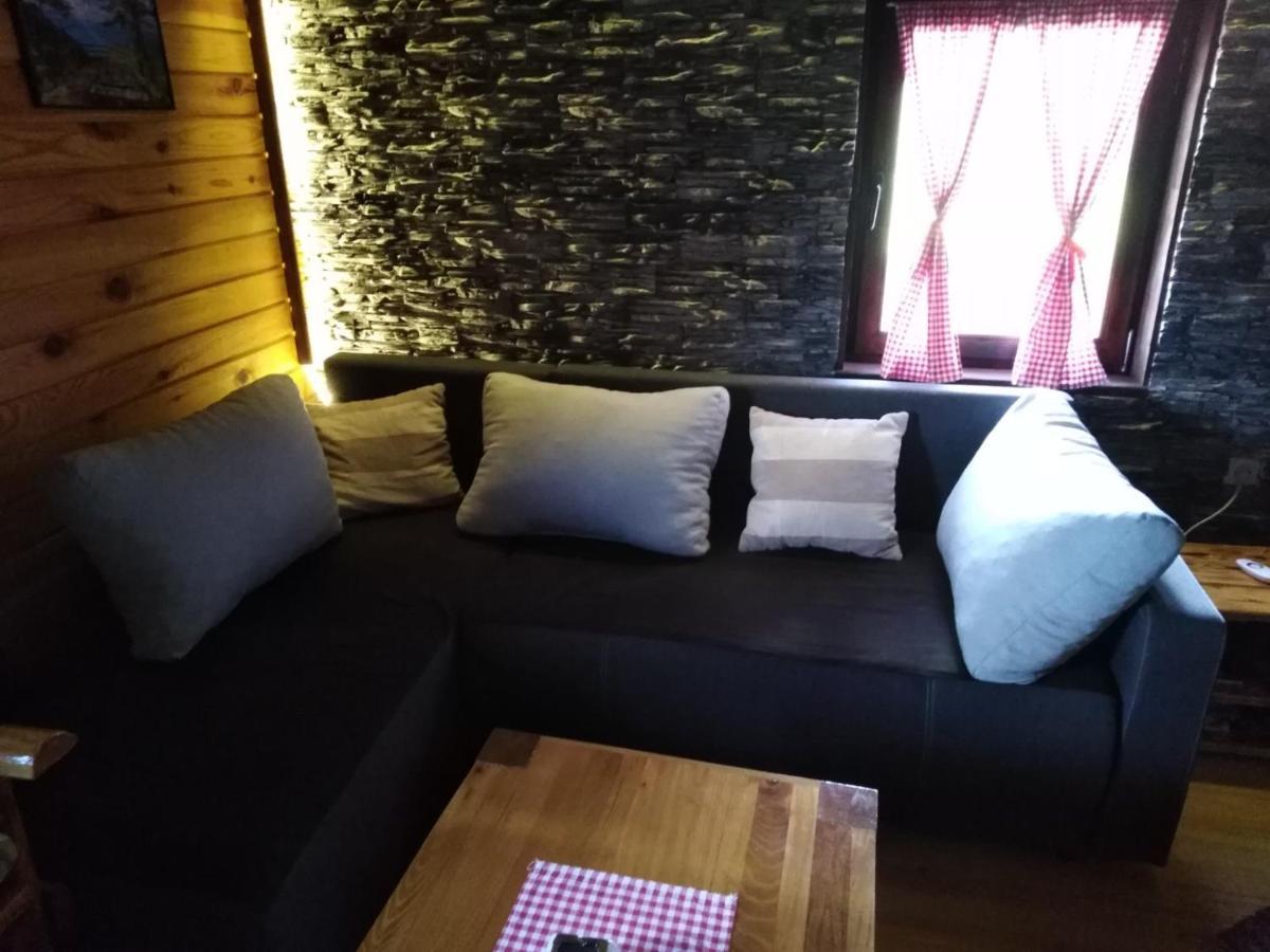 Vila Brvnara Na Bregu Bajina Basta Exteriér fotografie