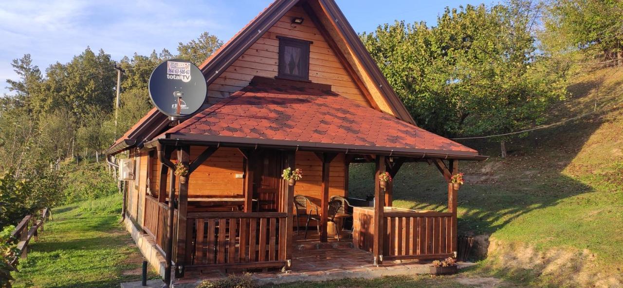 Vila Brvnara Na Bregu Bajina Basta Exteriér fotografie