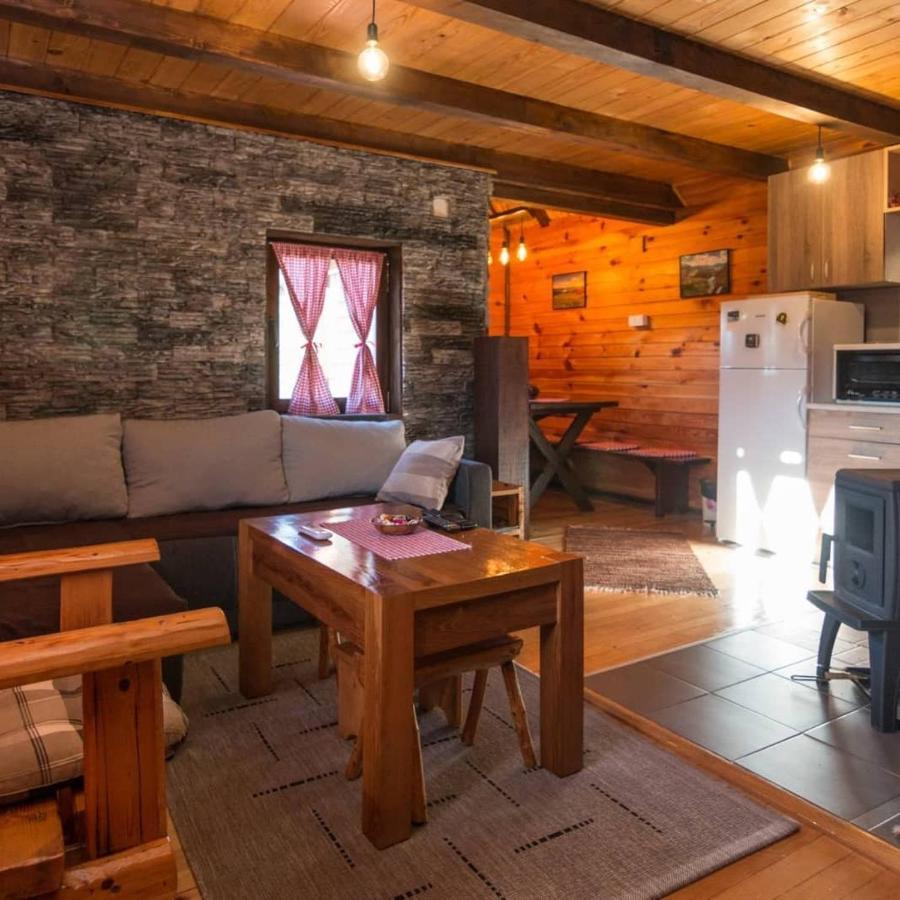 Vila Brvnara Na Bregu Bajina Basta Exteriér fotografie