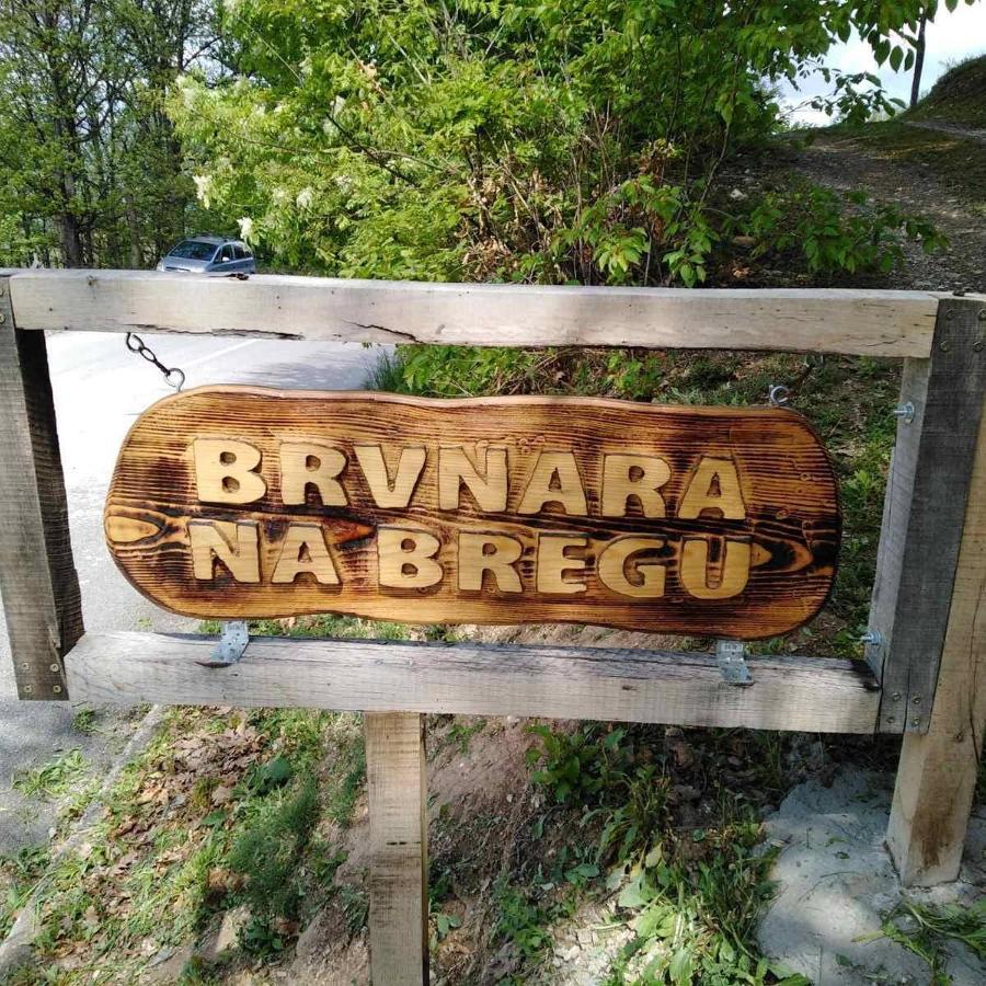 Vila Brvnara Na Bregu Bajina Basta Exteriér fotografie