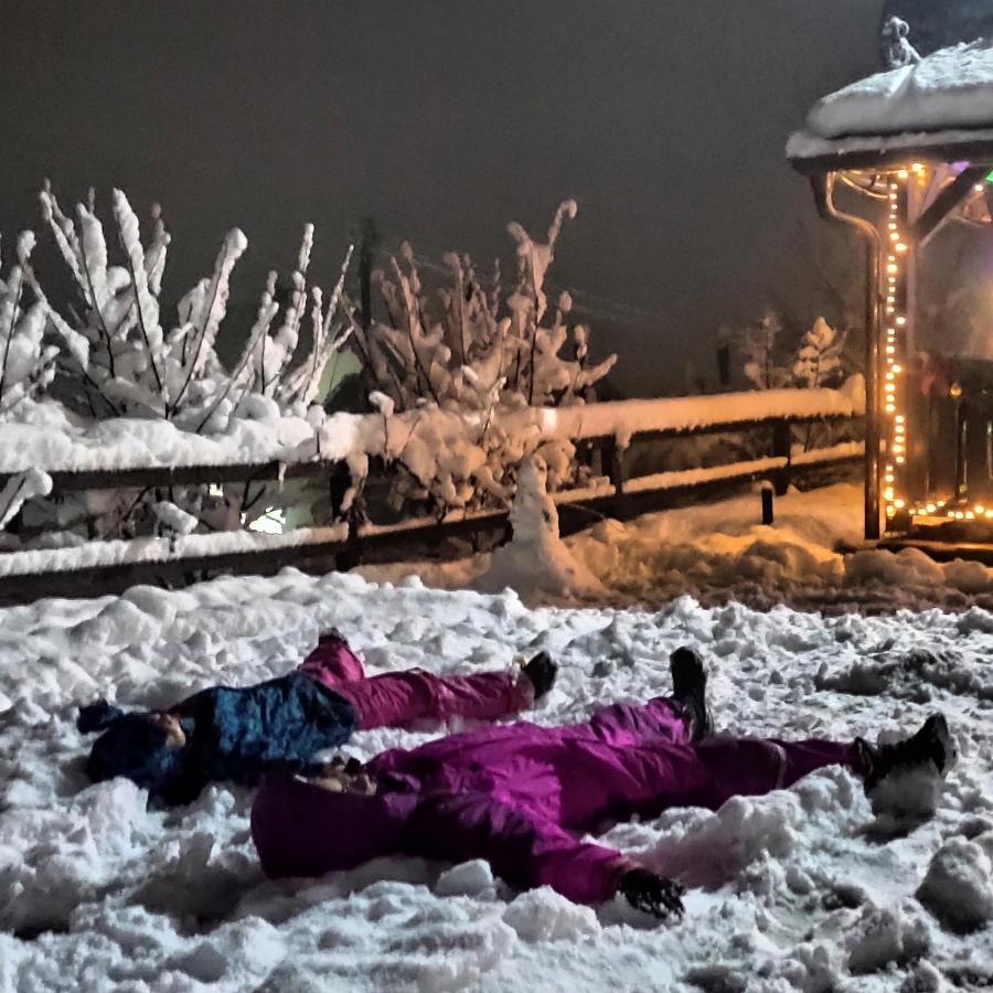 Vila Brvnara Na Bregu Bajina Basta Exteriér fotografie