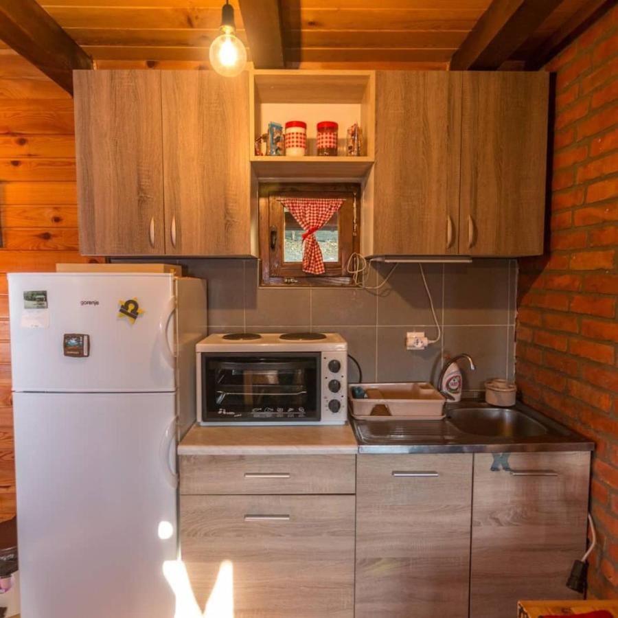 Vila Brvnara Na Bregu Bajina Basta Exteriér fotografie