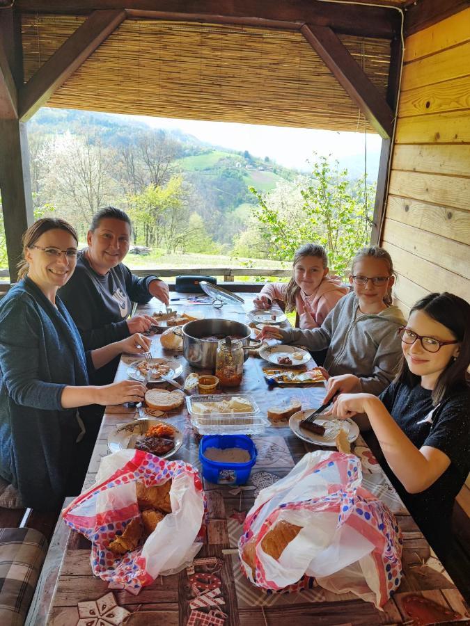 Vila Brvnara Na Bregu Bajina Basta Exteriér fotografie