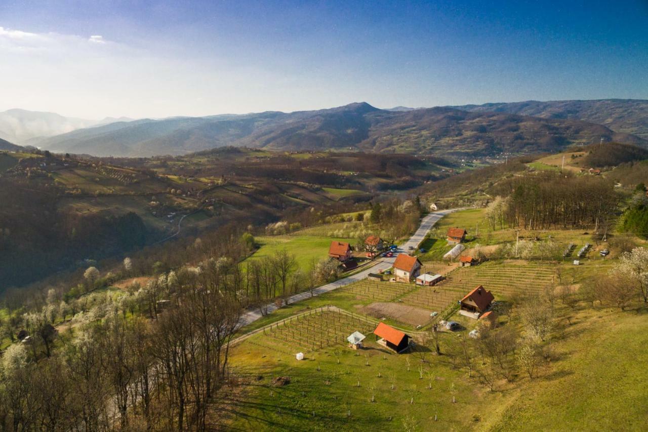 Vila Brvnara Na Bregu Bajina Basta Exteriér fotografie