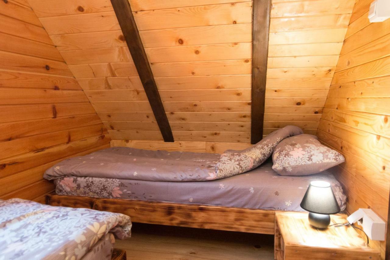 Vila Brvnara Na Bregu Bajina Basta Exteriér fotografie