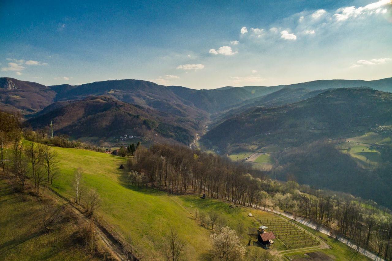Vila Brvnara Na Bregu Bajina Basta Exteriér fotografie