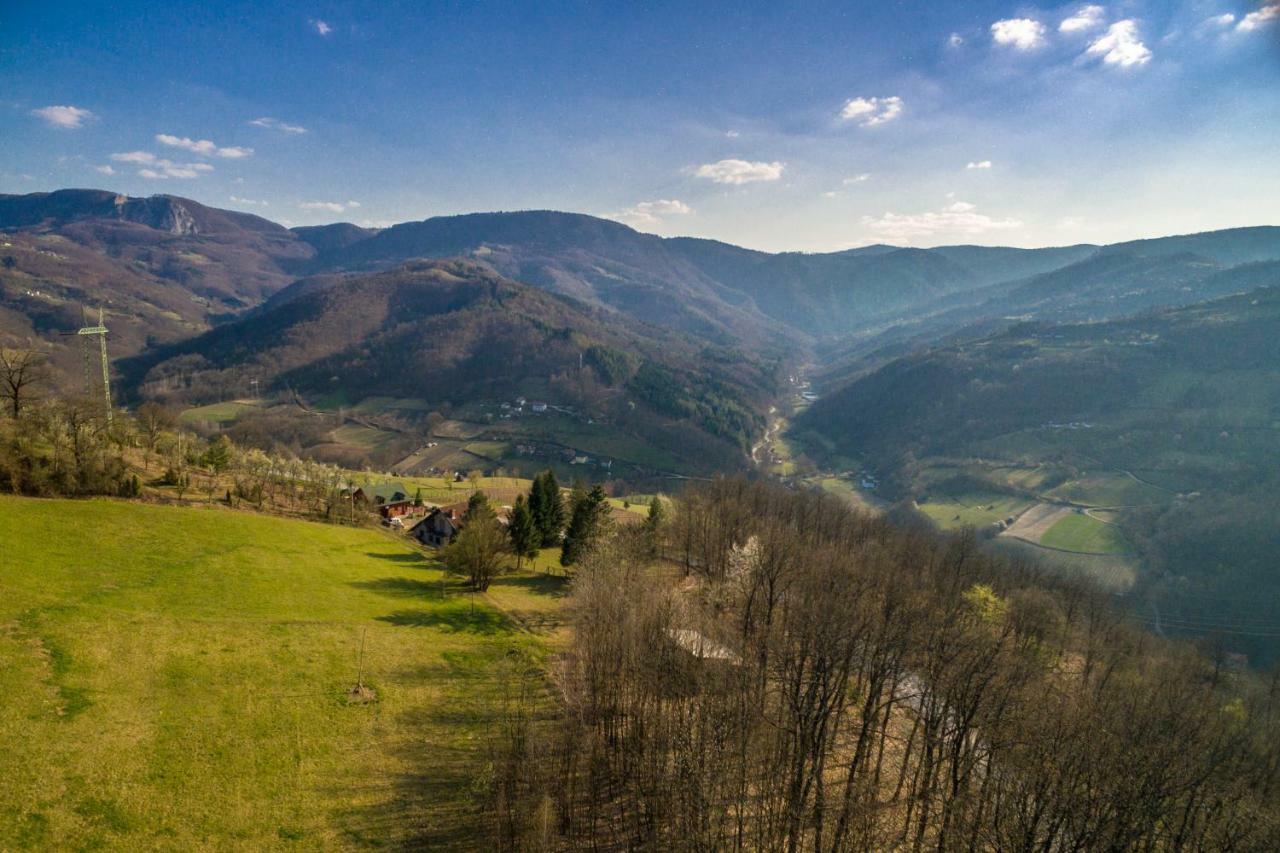 Vila Brvnara Na Bregu Bajina Basta Exteriér fotografie